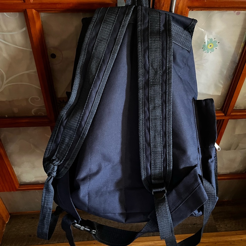 Nice Big Backpack - image 2